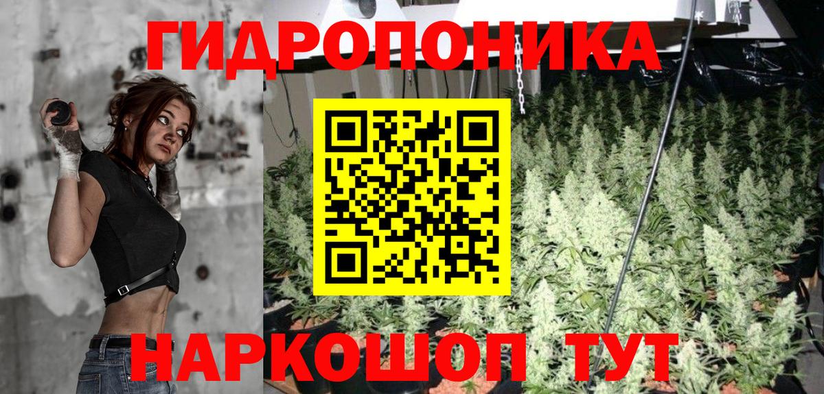 Конопля планчик  Вход с VPN  Бошки марихуана семена  Дзержинский  Марихуана THC 21% 
